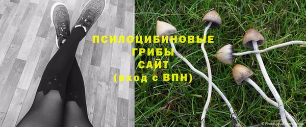 альфа пвп Гусь-Хрустальный