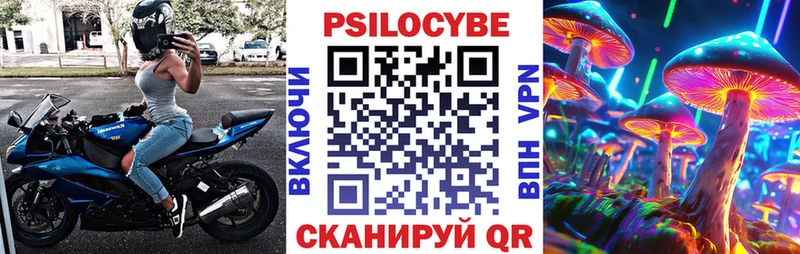 где можно купить наркотик  Назарово  Галлюциногенные грибы мицелий 